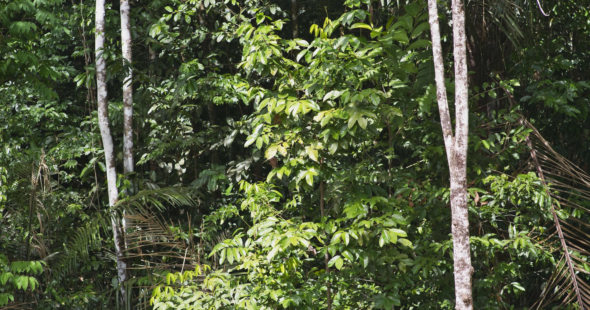 GFOI R D Component GFOI R D Component gfoi-r-d-component-gfoi-r-d-component